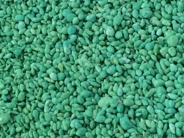 <a href='http://www.wuzhouwash.com/shuicaozhongzi/1857.html' target='_blank'>金魚藻種子</a>圖片