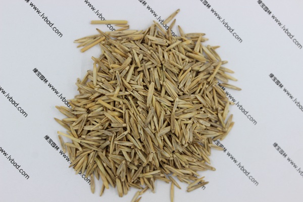 <a href='http://www.wuzhouwash.com/mucaozhongzi/1665.html' target='_blank'>冰草</a><a href='http://www.wuzhouwash.com/' target='_blank'>種子</a>