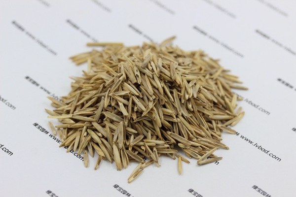 冰草<a href='http://www.wuzhouwash.com/' target='_blank'>種子</a>