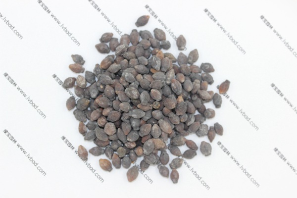 <a href='http://www.wuzhouwash.com/caohuazhongzi/1658.html' target='_blank'>紫茉莉</a><a href='http://www.wuzhouwash.com/' target='_blank'>種子</a>