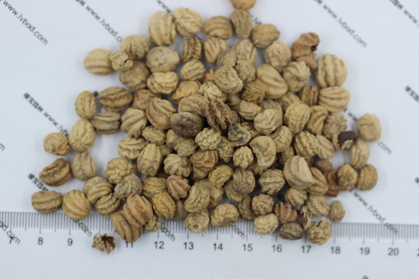 旱金蓮<a href='http://www.wuzhouwash.com/' target='_blank'>種子</a>