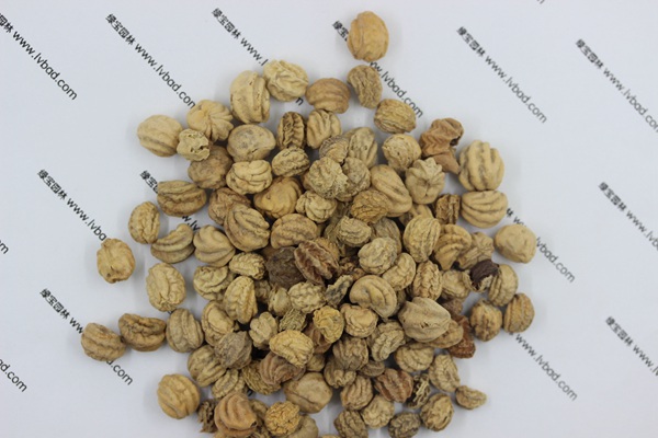 <a href='http://www.wuzhouwash.com/caohuazhongzi/1653.html' target='_blank'>旱金蓮種子</a>