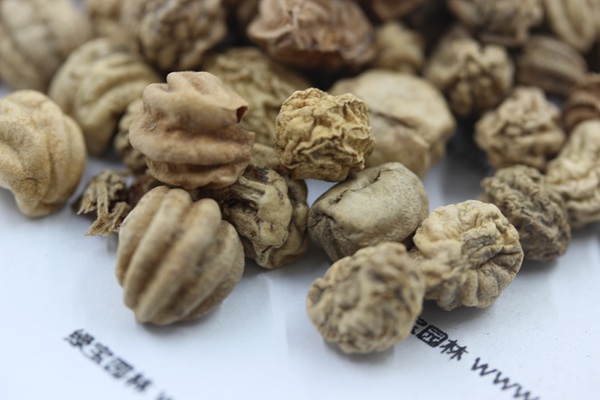 <a href='http://www.wuzhouwash.com/caohuazhongzi/1653.html' target='_blank'>旱金蓮</a><a href='http://www.wuzhouwash.com/' target='_blank'>種子</a>
