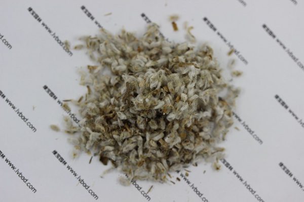 永生菊<a href='http://www.wuzhouwash.com/' target='_blank'>種子</a>