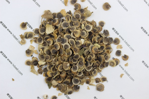 <a href='http://www.wuzhouwash.com/caohuazhongzi/1625.html' target='_blank'>蜀葵</a><a href='http://www.wuzhouwash.com/' target='_blank'>種子</a>