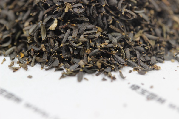 蛇目菊<a href='http://www.wuzhouwash.com/' target='_blank'>種子</a>