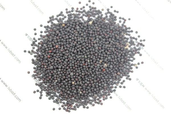 <a href='http://www.wuzhouwash.com/caohuazhongzi/1595.html' target='_blank'>滿天星</a><a href='http://www.wuzhouwash.com/' target='_blank'>種子</a>