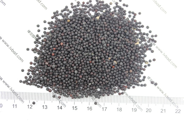 <a href='http://www.wuzhouwash.com/caohuazhongzi/1595.html' target='_blank'>滿天星</a><a href='http://www.wuzhouwash.com/' target='_blank'>種子</a>