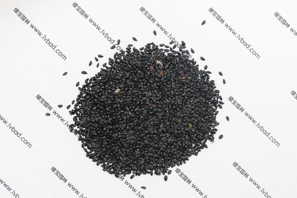 <a href='http://www.wuzhouwash.com/caohuazhongzi/1586.html' target='_blank'>耬斗菜種子</a>