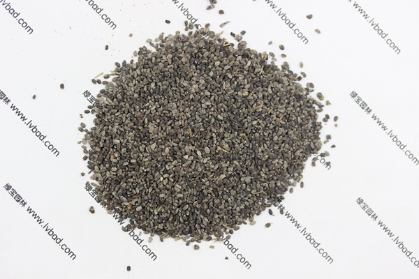 <a href='http://www.wuzhouwash.com/caohuazhongzi/1581.html' target='_blank'>留蘭香薄荷種子</a>