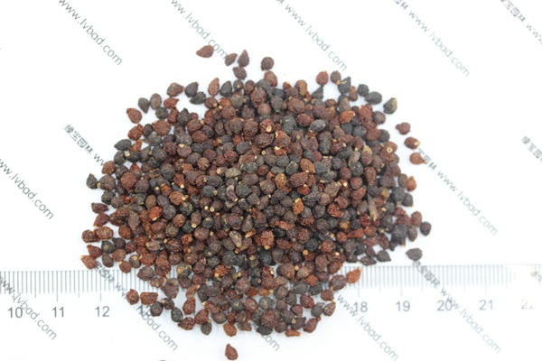 藍花<a href='http://www.wuzhouwash.com/caohuazhongzi/1578.html' target='_blank'>鳶尾種子</a>