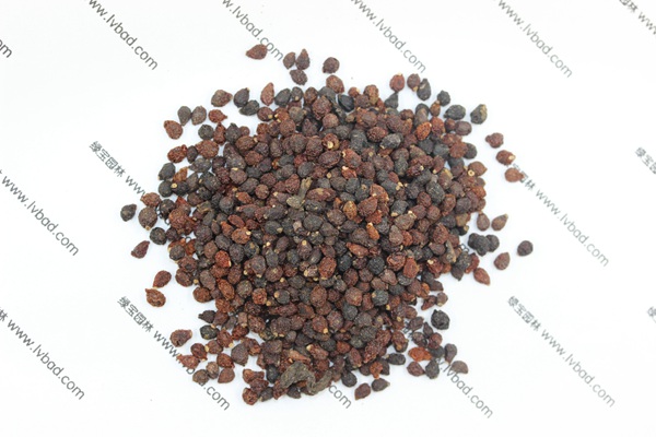 藍花<a href='http://www.wuzhouwash.com/caohuazhongzi/1578.html' target='_blank'>鳶尾</a><a href='http://www.wuzhouwash.com/' target='_blank'>種子</a>