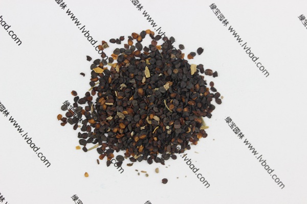 <a href='http://www.wuzhouwash.com/caohuazhongzi/1574.html' target='_blank'>康乃馨</a><a href='http://www.wuzhouwash.com/' target='_blank'>種子</a>