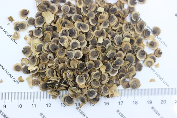 <a href='http://www.wuzhouwash.com/caohuazhongzi/1572.html' target='_blank'>錦葵種子</a>