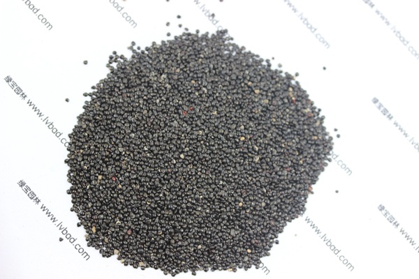<a href='http://www.wuzhouwash.com/caohuazhongzi/1076.html' target='_blank'>雞冠花</a><a href='http://www.wuzhouwash.com/' target='_blank'>種子</a>