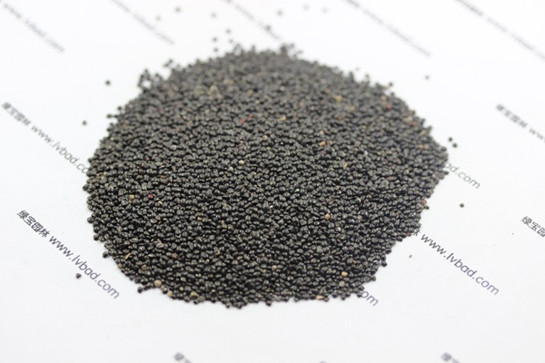 <a href='http://www.wuzhouwash.com/caohuazhongzi/1073.html' target='_blank'>火焰雞冠花種子</a>