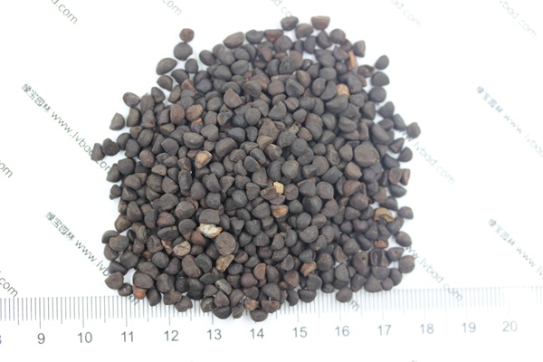 <a href='http://www.wuzhouwash.com/caohuazhongzi/1069.html' target='_blank'>黃花牽牛種子</a>
