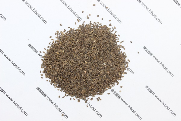 <a href='http://www.wuzhouwash.com/caohuazhongzi/1056.html' target='_blank'>古代稀種子</a>