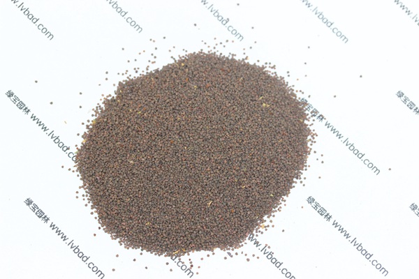 <a href='http://www.wuzhouwash.com/caohuazhongzi/1053.html' target='_blank'>高雪輪種子</a>