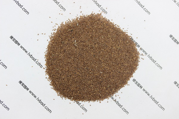 <a href='http://www.wuzhouwash.com/caohuazhongzi/1049.html' target='_blank'>風鈴花</a><a href='http://www.wuzhouwash.com/' target='_blank'>種子</a>