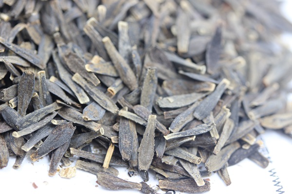 <a href='http://www.wuzhouwash.com/caohuazhongzi/1038.html' target='_blank'>大麗花種子</a>