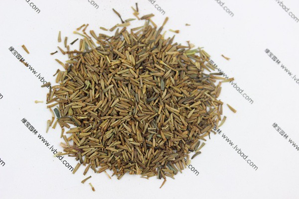 <a href='http://www.wuzhouwash.com/caohuazhongzi/1031.html' target='_blank'>除蟲菊</a><a href='http://www.wuzhouwash.com/' target='_blank'>種子</a>