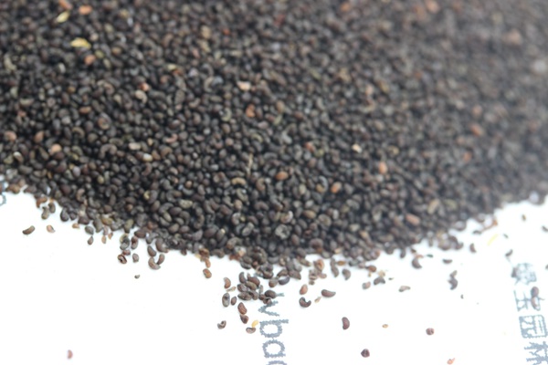 <a href='http://www.wuzhouwash.com/caohuazhongzi/1025.html' target='_blank'>冰島虞美人種子</a>