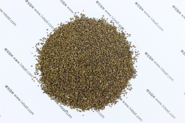 <a href='http://www.wuzhouwash.com/caohuazhongzi/1022.html' target='_blank'>半枝蓮</a><a href='http://www.wuzhouwash.com/' target='_blank'>種子</a>