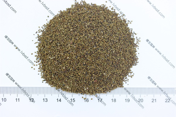 半枝蓮<a href='http://www.wuzhouwash.com/' target='_blank'>種子</a>