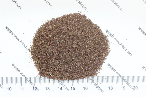 矮牽<a href='http://www.wuzhouwash.com/' target='_blank'>種子</a>