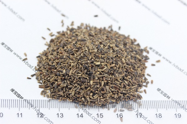 <a href='http://www.wuzhouwash.com/mucaozhongzi/14254.html' target='_blank'>菊苣種子</a>