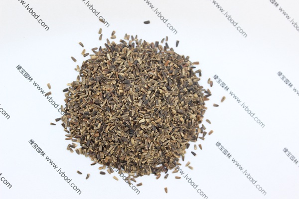 <a href='http://www.wuzhouwash.com/mucaozhongzi/14254.html' target='_blank'>菊苣</a><a href='http://www.wuzhouwash.com/' target='_blank'>種子</a>