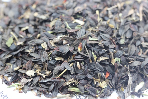 苦麥菜<a href='http://www.wuzhouwash.com/' target='_blank'>種子</a>圖片