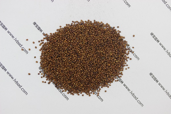 <a href='http://www.wuzhouwash.com/mucaozhongzi/1682.html' target='_blank'>百脈根</a><a href='http://www.wuzhouwash.com/' target='_blank'>種子</a>