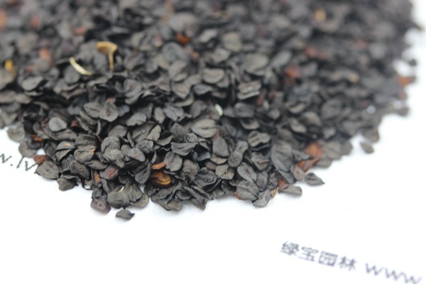 <a href='http://www.wuzhouwash.com/caohuazhongzi/1030.html' target='_blank'>常夏石竹種子</a>