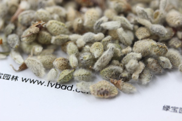 <a href='http://www.wuzhouwash.com/mucaozhongzi/1685.html' target='_blank'>花棒</a><a href='http://www.wuzhouwash.com/' target='_blank'>種子</a>