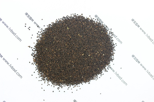 <a href='http://www.wuzhouwash.com/caohuazhongzi/1569.html' target='_blank'>金魚草</a><a href='http://www.wuzhouwash.com/' target='_blank'>種子</a>