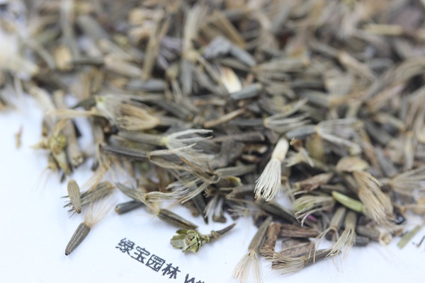 <a href='http://www.wuzhouwash.com/caohuazhongzi/1620.html' target='_blank'>蛇鞭菊種子</a>