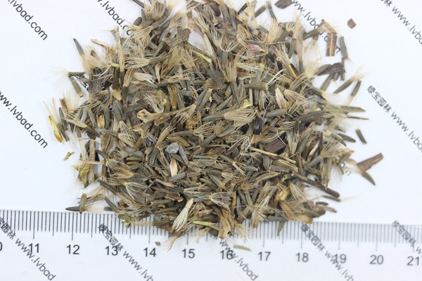 <a href='http://www.wuzhouwash.com/caohuazhongzi/1620.html' target='_blank'>蛇鞭菊種子</a>