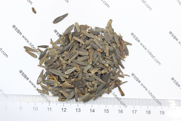 <a href='http://www.wuzhouwash.com/caohuazhongzi/1642.html' target='_blank'>小麗花種子</a>