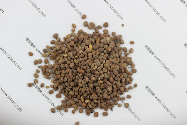 <a href='http://www.wuzhouwash.com/caohuazhongzi/1655.html' target='_blank'>指甲花種子</a>