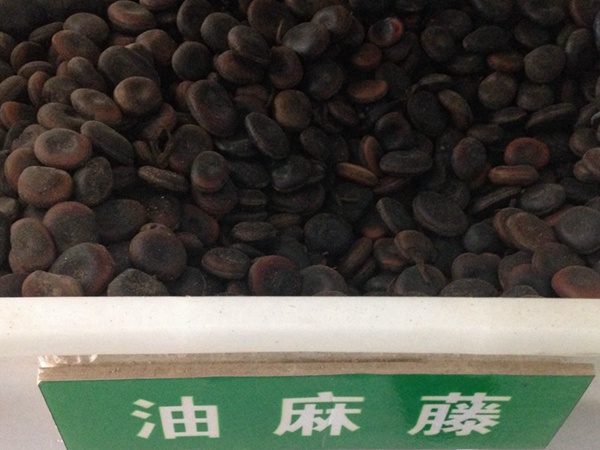 <a href='http://www.wuzhouwash.com/linmuzhongzi/2188.html' target='_blank'>油麻藤種子</a>