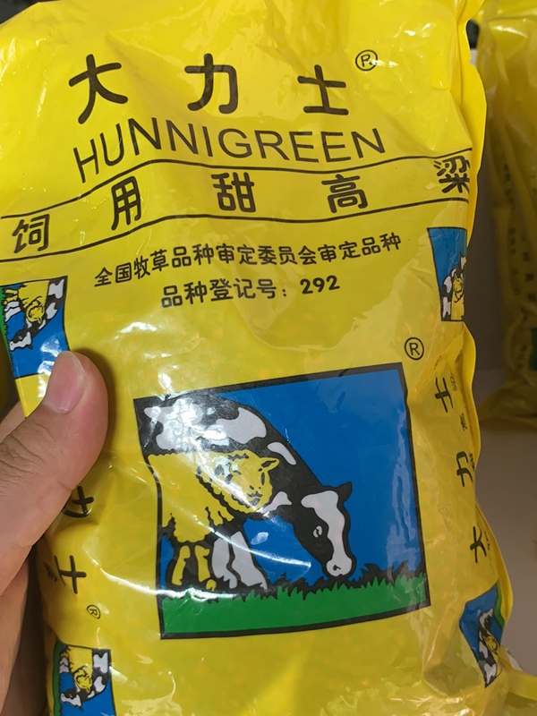 <a href='http://www.wuzhouwash.com/mucaozhongzi/16575.html' target='_blank'>大力士甜高粱</a><a href='http://www.wuzhouwash.com/' target='_blank'>種子</a>