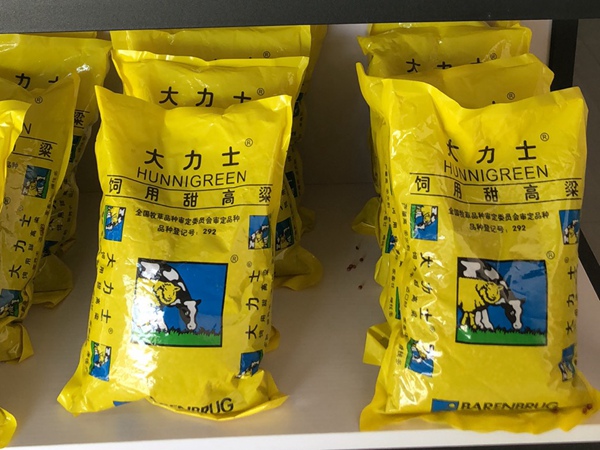<a href='http://www.wuzhouwash.com/mucaozhongzi/16575.html' target='_blank'>大力士甜高粱種子</a>