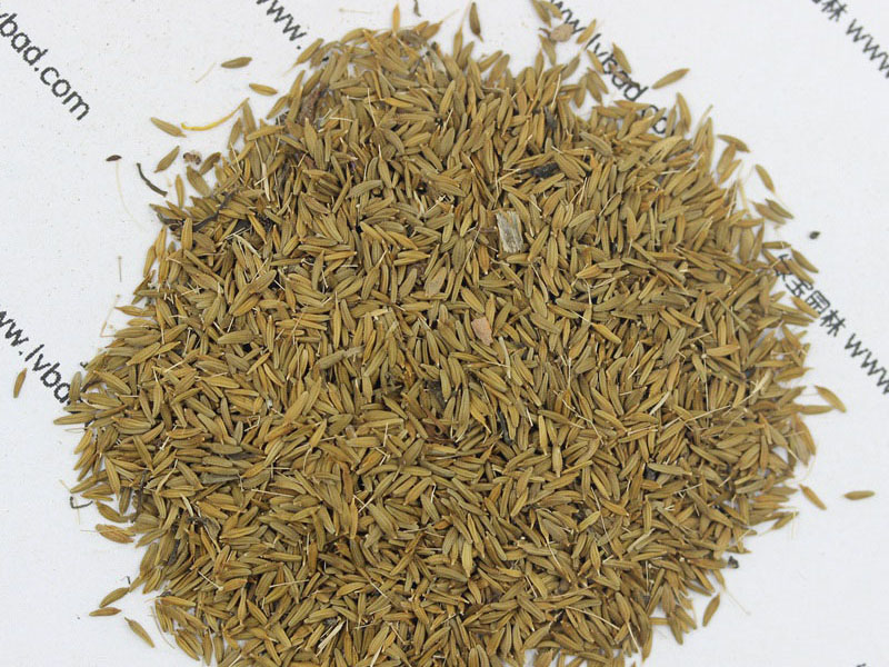 <a href='http://www.wuzhouwash.com/caohuazhongzi/1607.html' target='_blank'>蒲公英種子</a>