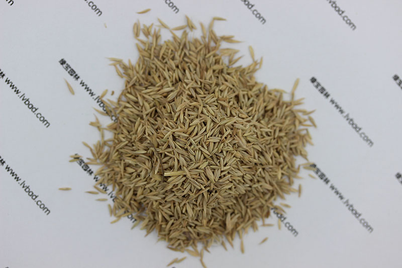 <a href='http://www.wuzhouwash.com/mucaozhongzi/8.html' target='_blank'>鴨茅草種子</a>