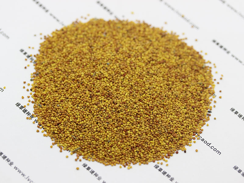 <a href='http://www.wuzhouwash.com/caopingzhongzi/1662.html' target='_blank'>白三葉種子</a>