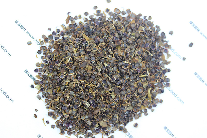 <a href='http://www.wuzhouwash.com/caohuazhongzi/1568.html' target='_blank'>金雞菊種子</a>