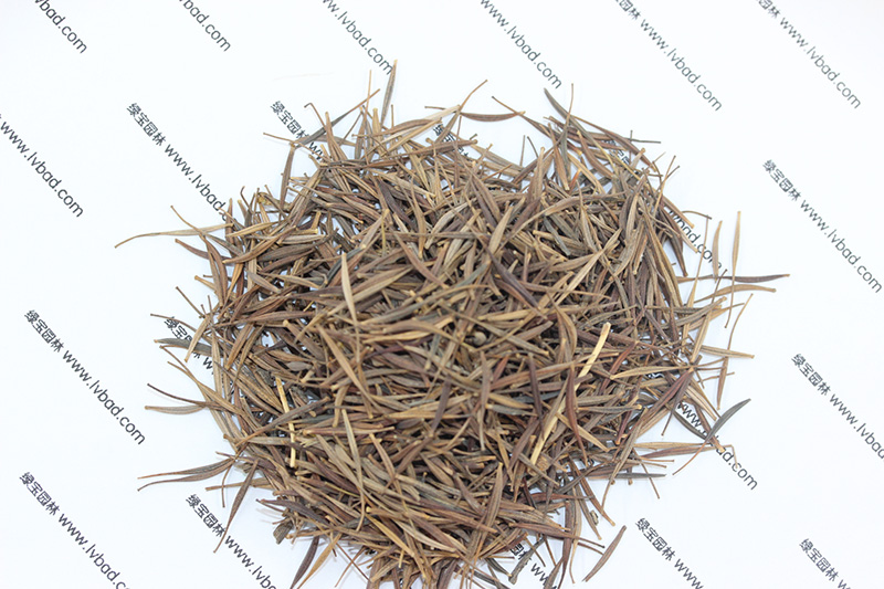 <a href='http://www.wuzhouwash.com/caohuazhongzi/1583.html' target='_blank'>硫華菊種子</a>
