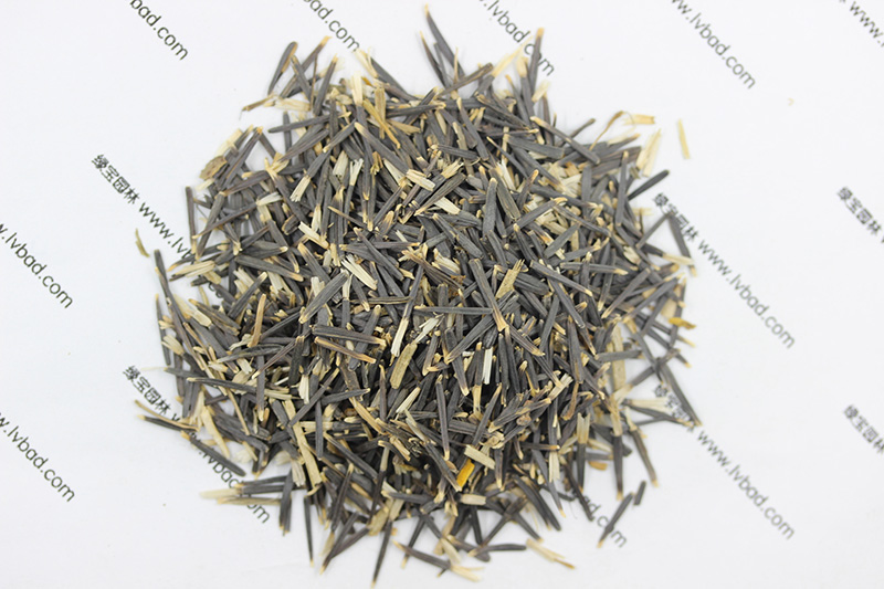 <a href='http://www.wuzhouwash.com/caohuazhongzi/1631.html' target='_blank'>萬壽菊種子</a>
